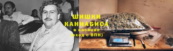 прущая мука Верея