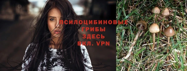 прущая мука Верея