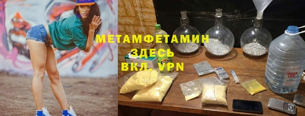 крисы Бородино