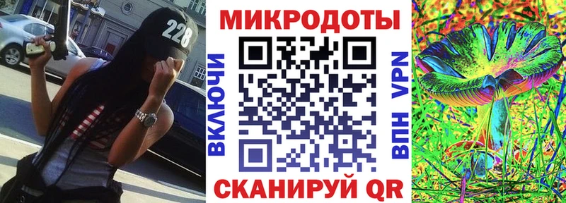 OMG сайт  Касимов  Галлюциногенные грибы GOLDEN TEACHER  купить наркотики цена 